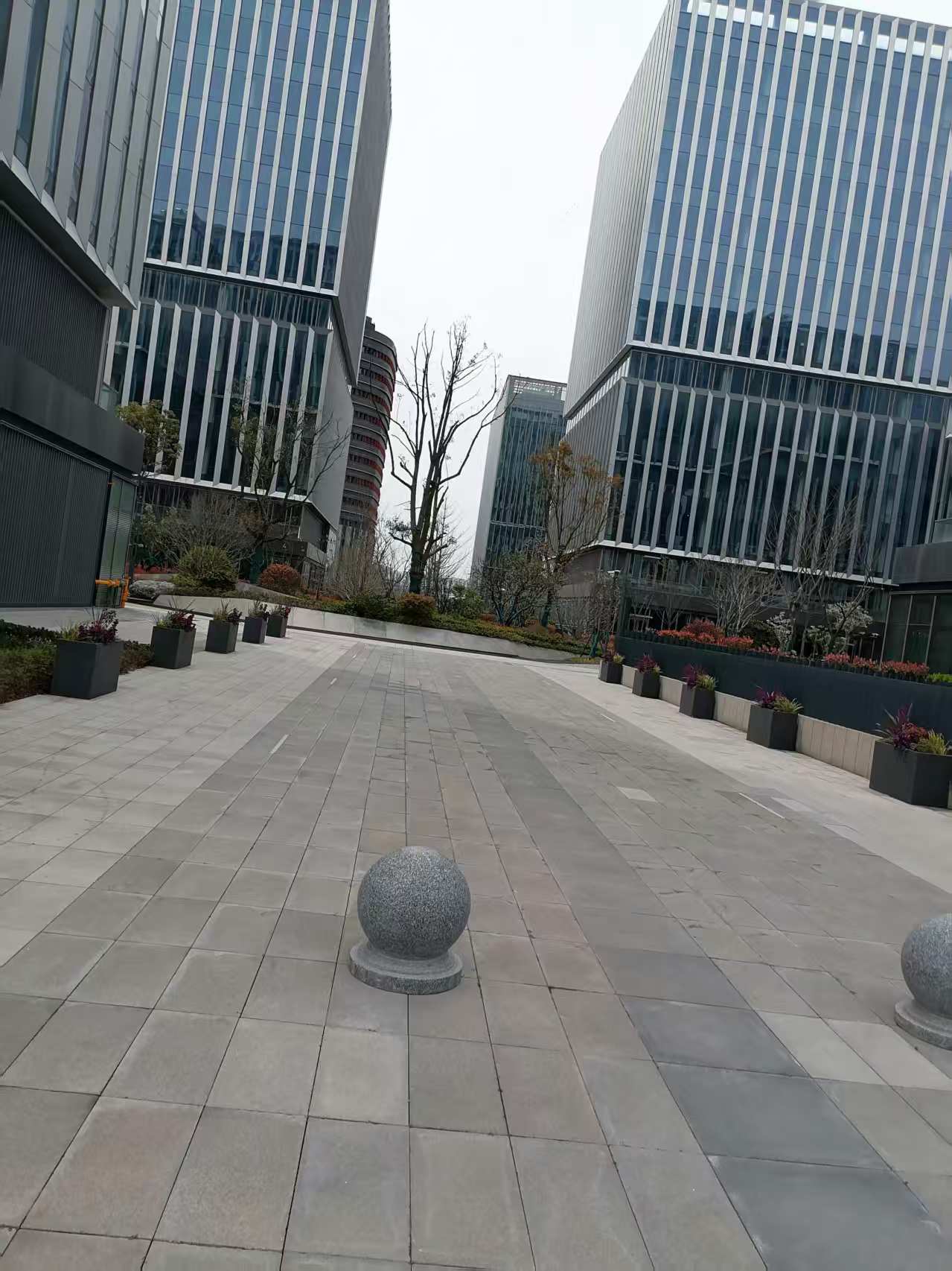 微信图片_20250404083831.jpg